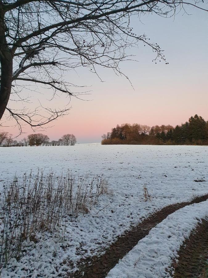 Edelsminde Bed & Breakfast Haslev Esterno foto